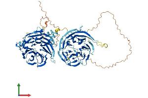 Protein Structure (PS) image for WD Repeat Domain 27 (WDR27) (AA 1-827) protein (His tag) (ABIN7545186)