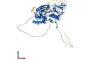 AlphaFold protein structure predicition of Human Recombinant CHM Protein, UniprotID P24386