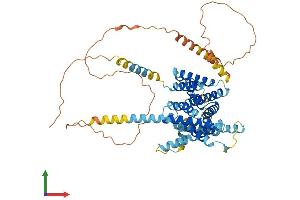 AlphaFold protein structure predicition of Human Recombinant SLC35F4 Protein, UniprotID A4IF30