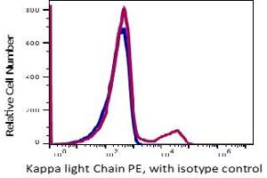Image no. 2 for anti-kappa Light Chain antibody (PE) (ABIN5067822) (kappa Light Chain 抗体  (PE))