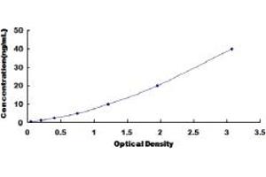 Typical standard curve (Prokineticin Receptor 1 ELISA 试剂盒)