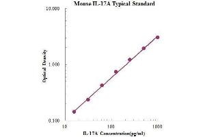 ELISA image for Interleukin 17A (IL17A) ELISA Kit (ABIN2472096) (Interleukin 17a ELISA 试剂盒)