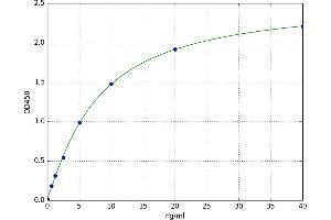 N-MID Osteocalcin ELISA Kit