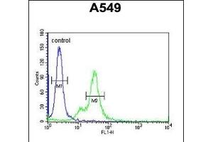 M6PR Antibody (C-term) (ABIN650726 and ABIN2839414) flow cytometric analysis of A549 cells (right histogram) compared to a negative control cell (left histogram). (M6PR 抗体  (C-Term))