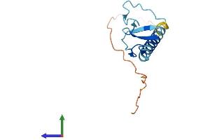AlphaFold protein structure predicition of Human Recombinant LIMS4 Protein, UniprotID P0CW20 (LIMS4 (AA 1-117) protein (His tag))