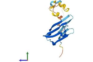 Protein Structure (PS) image for Heat Shock 27kDa Protein 3 (HSPB3) (AA 1-154) protein (His tag) (ABIN7561815)