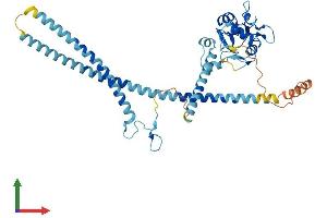 AlphaFold protein structure predicition of Human Recombinant SH2D4B Protein, UniprotID Q5SQS7