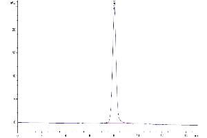 The purity of Biotinylated Human SIRP Beta 1 Isoform 3 is greater than 95 % as determined by SEC-HPLC. (SIRPB1 Protein (AA 30-371, Isoform 3) (His-Avi Tag,Biotin))