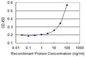 Detection limit for recombinant GST tagged ZNF157 is 3 ng/ml as a capture antibody. (ZNF157 抗体  (AA 402-505))
