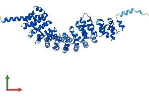 Protein Structure (PS) image for Sperm Associated Antigen 6 (SPAG6) (AA 1-509) protein (His tag) (ABIN7546152)