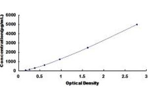 Typical standard curve (PAOX ELISA 试剂盒)