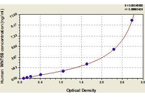 Typical Standard Curve (WNT5B ELISA 试剂盒)