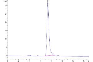 The purity of Human PILRA is greater than 95 % as determined by SEC-HPLC.