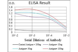 ELISA image for anti-Forkhead Box O1 (FOXO1) antibody (ABIN1845870)