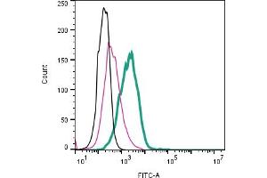 Cell surface detection of ADAM10 by direct flow cytometry in live intact human  megakaryoblastic cell line: + Rabbit IgG Isotype Control-FITC (ABIN7582044).