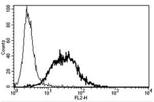 Flow Cytometry (FACS) image for anti-Mast/stem Cell Growth Factor Receptor (KIT) antibody (Biotin) (ABIN1105764) (KIT 抗体  (Biotin))