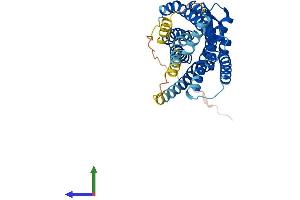 Protein Structure (PS) image for Bradykinin Receptor B1 (BDKRB1) (AA 1-353) protein (His tag) (ABIN7552638)