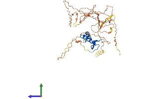 AlphaFold protein structure predicition of Human Recombinant NFYA Protein, UniprotID P23511