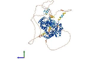 Protein Structure (PS) image for Polymerase (DNA Directed) kappa (POLK) (AA 1-852) protein (His tag) (ABIN7565125)