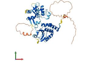 Protein Structure (PS) image for Dual Specificity Phosphatase 5 (DUSP5) (AA 1-384) protein (His tag) (ABIN7547199)
