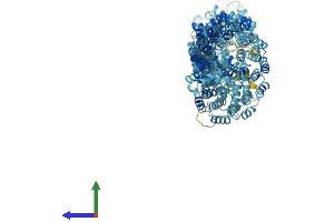 AlphaFold protein structure predicition of Mouse Recombinant Ttc21b Protein, UniprotID Q0HA38 (TTC21B Protein (AA 1-1315) (His tag))