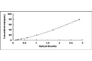 Typical standard curve (TIMP1 ELISA 试剂盒)