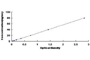 Typical Standard Curve (Decorin ELISA 试剂盒)