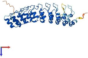 AlphaFold protein structure predicition of Human Recombinant ANKRD29 Protein, UniprotID Q8N6D5
