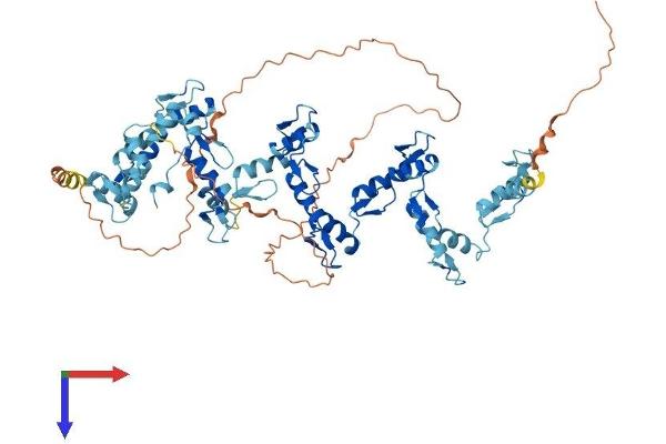 ZNF133 Protein (AA 1-654) (His tag)