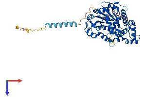 CHST5 Protein (AA 1-411) (His tag)