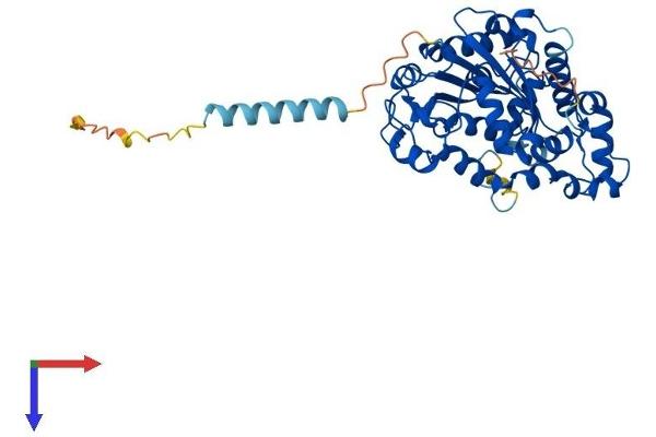CHST5 Protein (AA 1-411) (His tag)