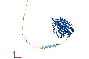Protein Structure (PS) image for Glutaminyl-Peptide Cyclotransferase-Like (QPCTL) (AA 1-383) protein (His tag) (ABIN7558615)