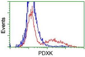 HEK293T cells transfected with either RC200975 overexpress plasmid (Red) or empty vector control plasmid (Blue) were immunostained by anti-PDXK antibody (ABIN2454665), and then analyzed by flow cytometry. (PDXK 抗体)