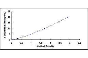 ELISA image for Superoxide Dismutase 1, Soluble (SOD1) ELISA Kit (ABIN416137)