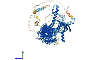 Protein Structure (PS) image for Chondroitin Sulfate Synthase 1 (CHSY1) (AA 1-802) protein (His tag) (ABIN7553433)