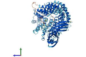 Protein Structure (PS) image for Coatomer Protein Complex, Subunit gamma (COPG) (AA 1-874) protein (His tag) (ABIN7553558)