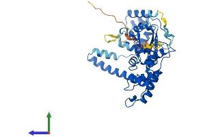 Protein Structure (PS) image for Flap Structure-Specific Endonuclease 1 (FEN1) (AA 1-378) protein (His tag) (ABIN7563210)