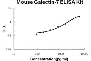 Mouse Galectin-7 PicoKine ELISA Kit standard curve (LGALS7 ELISA 试剂盒)