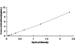 Typical standard curve (STAR ELISA 试剂盒)