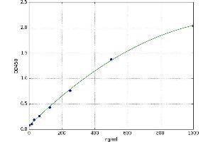 Orexin (OX) ELISA Kit
