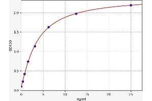 Insulin-Like Growth Factor Binding Protein 3 (IGFBP3) ELISA Kit