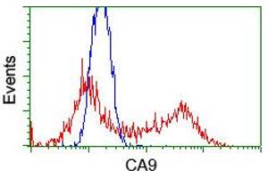 Flow Cytometry (FACS) image for anti-Carbonic Anhydrase IX (CA9) antibody (ABIN1497095) (CA9 抗体)