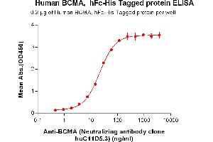 ELISA plate pre-coated by 2 μg/mL (100 μL/well) Human BCMA, hFc-His tagged protein can bind Anti-BCMA (Neutralizing antibody clone huC11D5. (BCMA Protein (Fc-His Tag))