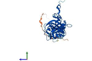 Protein Structure (PS) image for Nudix (Nucleoside Diphosphate Linked Moiety X)-Type Motif 6 (NUDT6) (AA 1-316) protein (His tag) (ABIN7549966)