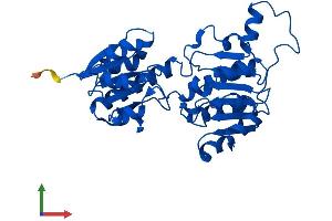 Protein Structure (PS) image for Glyoxylate Reductase/hydroxypyruvate Reductase (GRHPR) (AA 1-328) protein (His tag) (ABIN7560130)