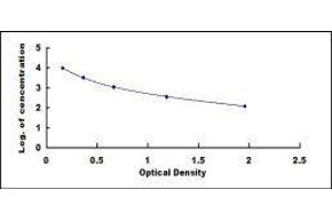 ELISA image for Gibberellic Acid (GA) ELISA Kit (ABIN415964)