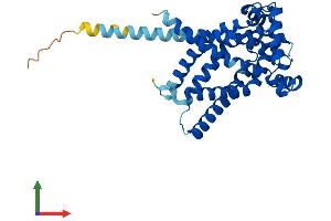 Protein Structure (PS) image for Solute Carrier Family 25, Member 42 (SLC25A42) (AA 1-318) protein (His tag) (ABIN7545923)
