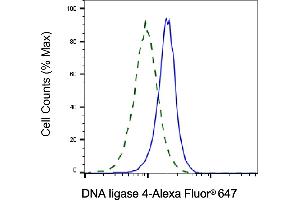 Validation of DNA ligase 4 knockdown using flow cytometry. (Recombinant LIG4 抗体)