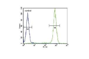 IL4 Antibody (C-term) (ABIN651434 and ABIN2840238) flow cytometric analysis of WiDr cells (right histogram) compared to a negative control cell (left histogram). (IL-4 抗体  (C-Term))