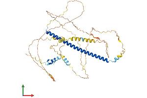 Protein Structure (PS) image for CAMP Responsive Element Binding Protein 5 (CREB5) (AA 1-508) protein (His tag) (ABIN7546724)